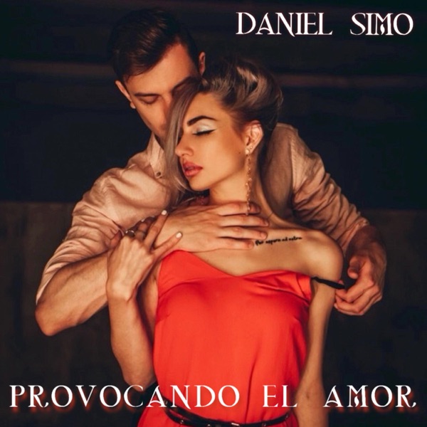 provocando el amor daniel simo