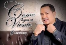 como hojas el viento - Frank Reyes