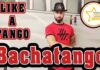bachatango andrea stella