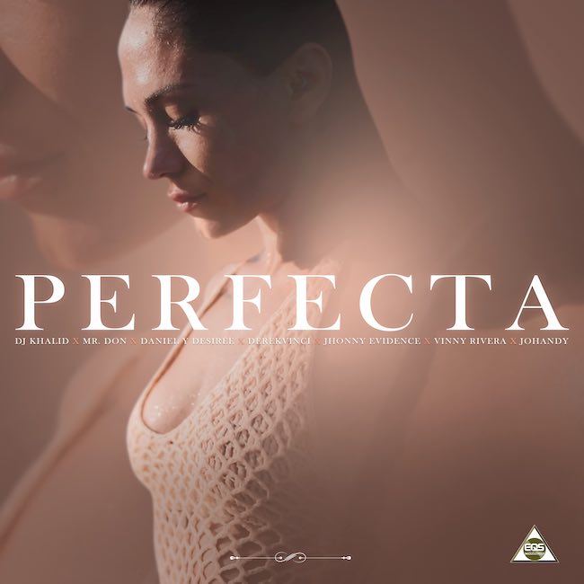 perfecta bachata