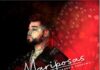mr don mariposas