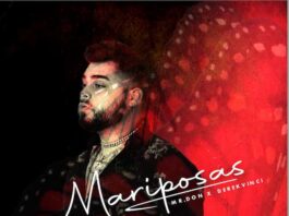 mr don mariposas