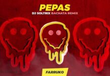 pepas farruko bachata