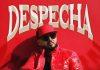 L’artista internazionale di bachata Vinny Rivera presenta “Despecha” despecha vinny rivera