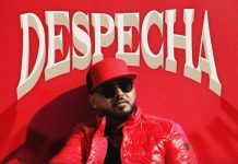 L’artista internazionale di bachata Vinny Rivera presenta “Despecha” despecha vinny rivera