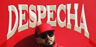 L’artista internazionale di bachata Vinny Rivera presenta “Despecha” despecha vinny rivera